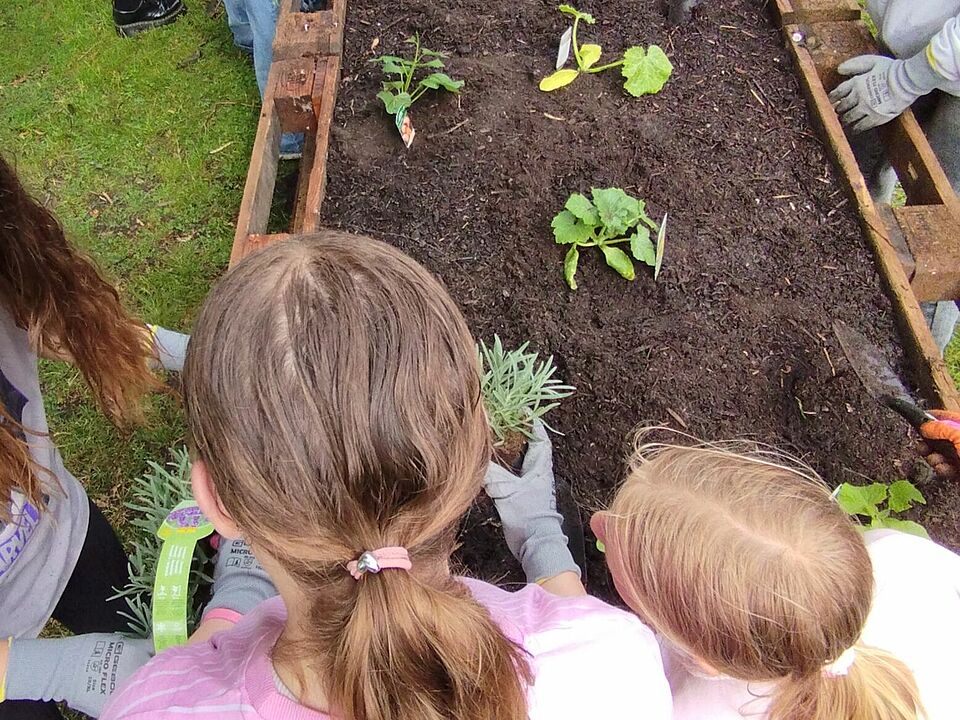 Mehrere Kinder bepflanzen gemeinsam ein Hochbeet aus Holzpaletten mit jungen Gemüsepflanzen. Sie arbeiten konzentriert und tragen Handschuhe. Die Szene spielt sich auf einer grünen Wiese ab.