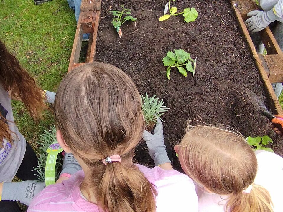 Mehrere Kinder bepflanzen gemeinsam ein Hochbeet aus Holzpaletten mit jungen Gemüsepflanzen. Sie arbeiten konzentriert und tragen Handschuhe. Die Szene spielt sich auf einer grünen Wiese ab.