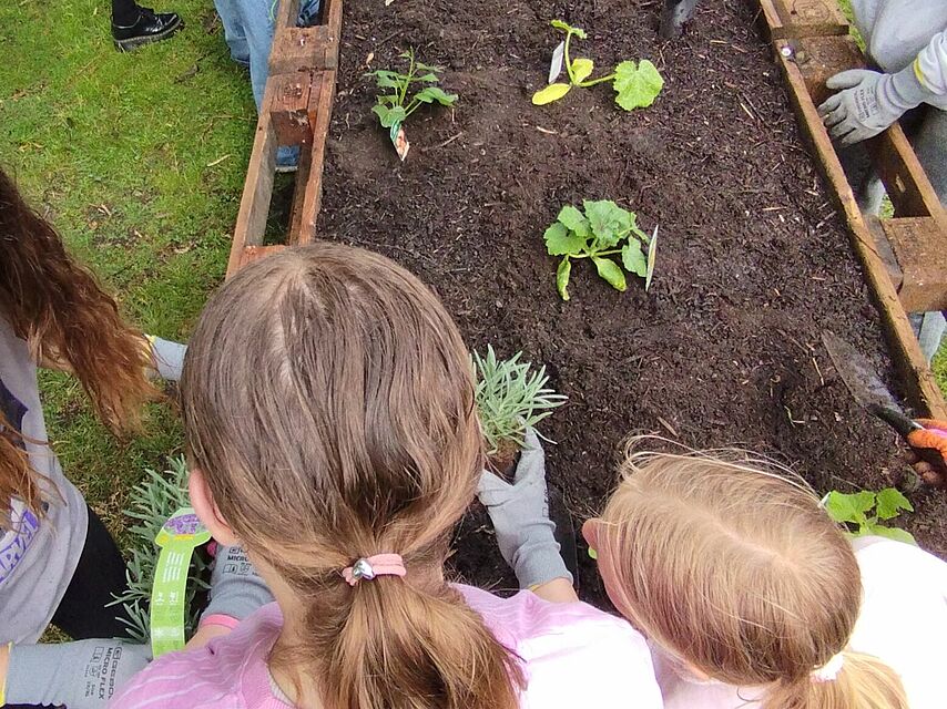 Mehrere Kinder bepflanzen gemeinsam ein Hochbeet aus Holzpaletten mit jungen Gemüsepflanzen. Sie arbeiten konzentriert und tragen Handschuhe. Die Szene spielt sich auf einer grünen Wiese ab.